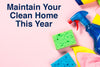 Maintain Your Clean Home This Year