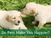 Do Pets Make You Happier?