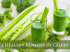 5 Healthy Benefits of Celery