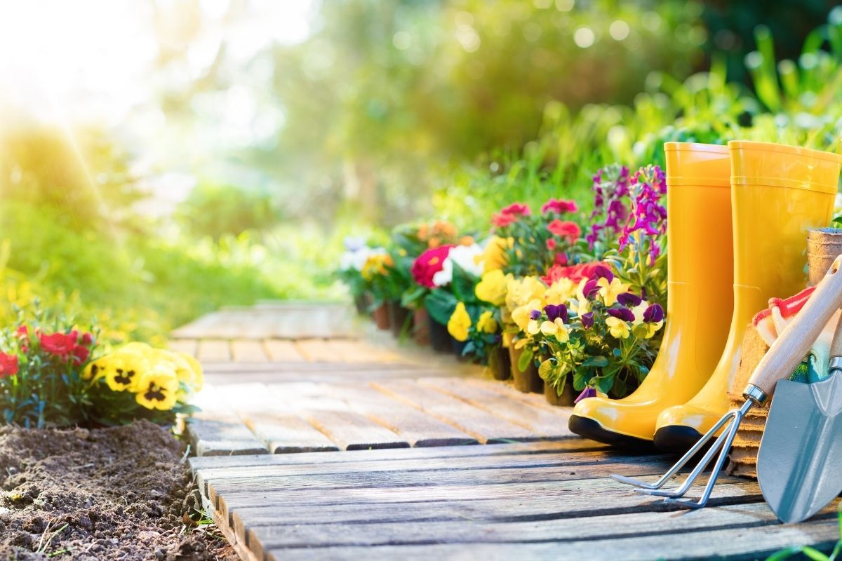 4 Gardening Tips For National Gardening Day