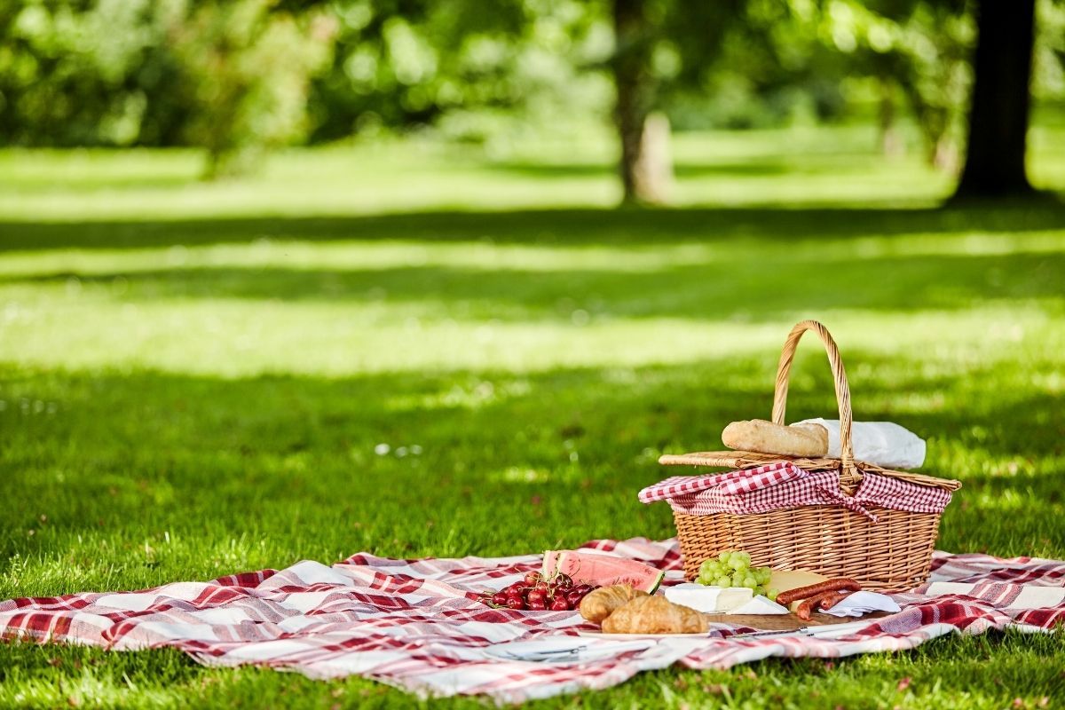 3 Things to Pack for a Picnic