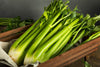 stalks of celery sitting in rectangular wooden crate