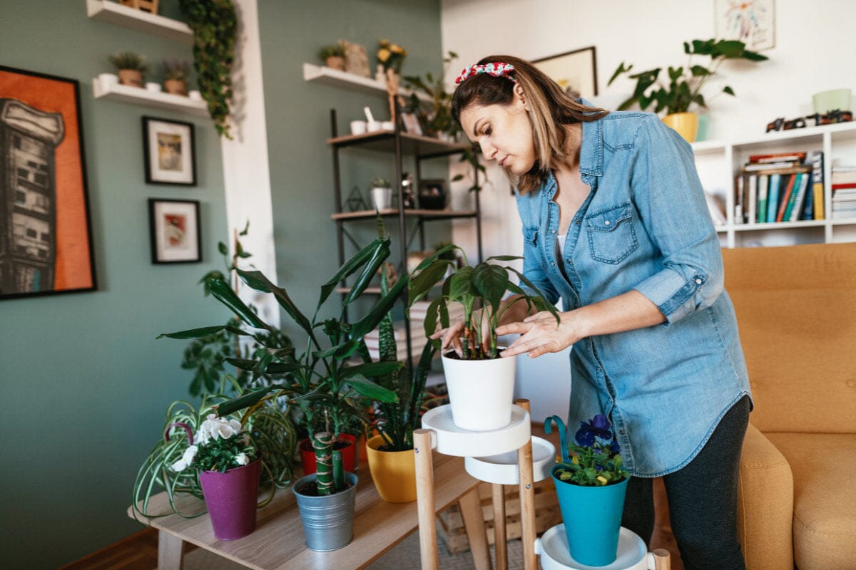 woman watering plants inside house