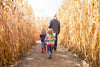 Ask Me Anything: Tips for Enjoying a Corn Maze This Halloween