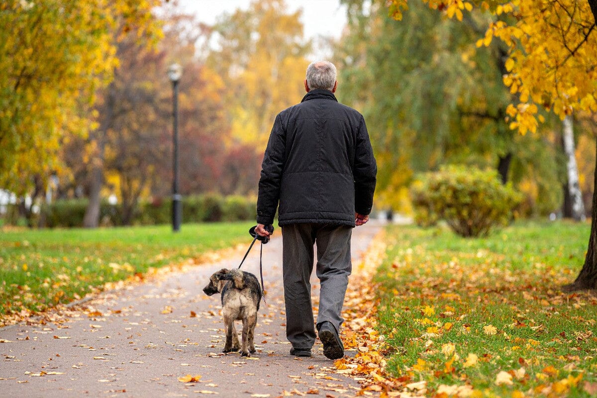 Senior man walking his dog on a trail during autumn.