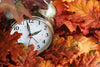 analog metal alarm clock in a bundle of autumn leaves.