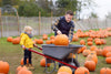 middle-aged man placing a large pumpkin in a wagon as his kid watches. in a pumpkin patch.