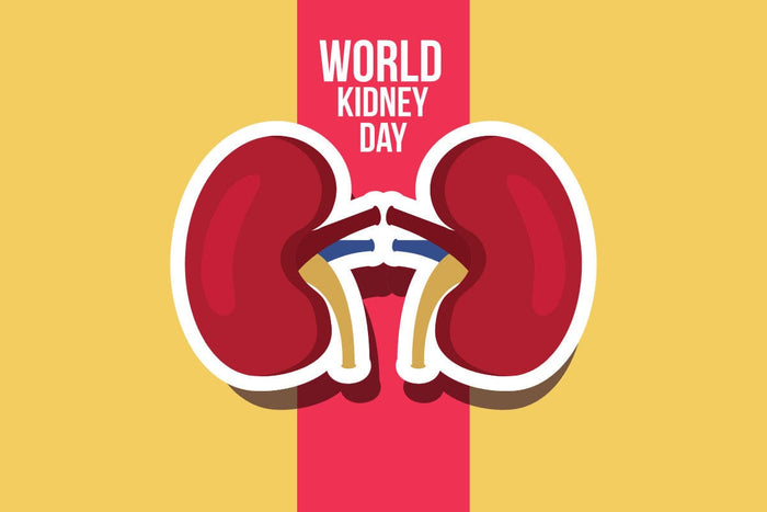 World Kidney Day