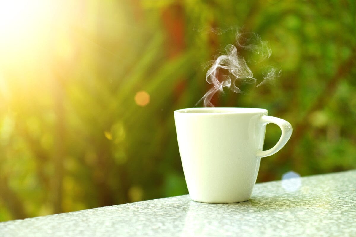 white mug of coffee sitting on the ledge in front of the morning sun rising above green plants.