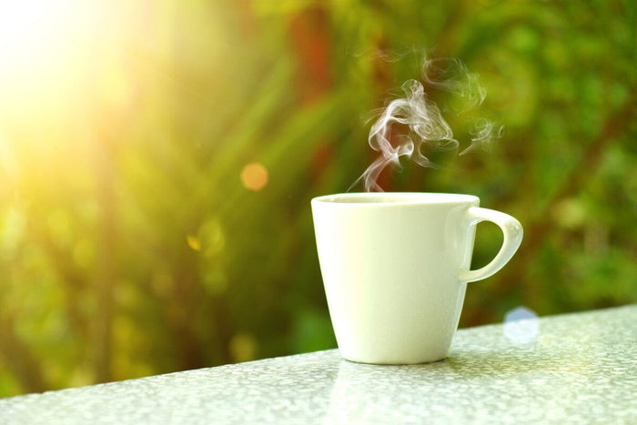white mug of coffee sitting on the ledge in front of the morning sun rising above green plants.